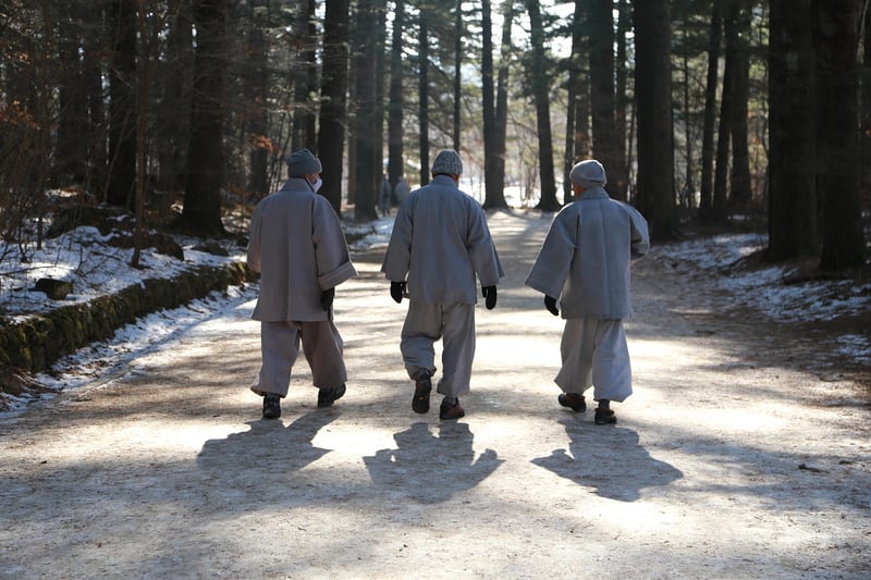 Meditative Walks